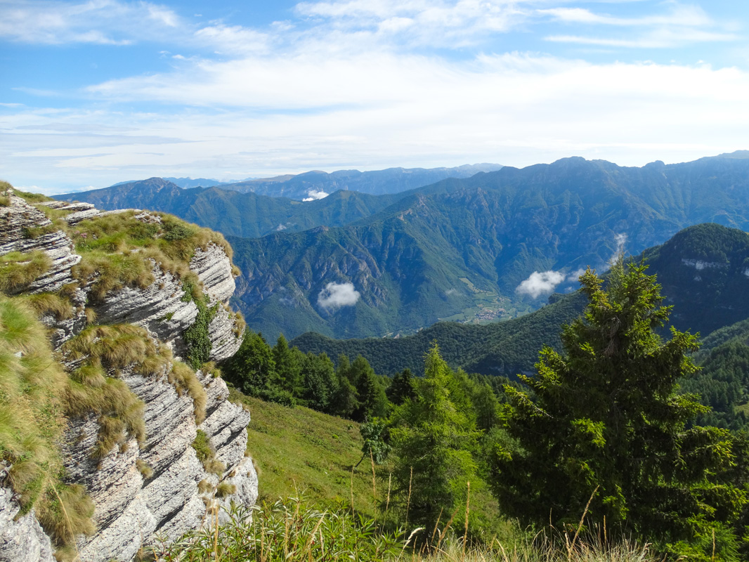 /Foresta%20dei%20folignani